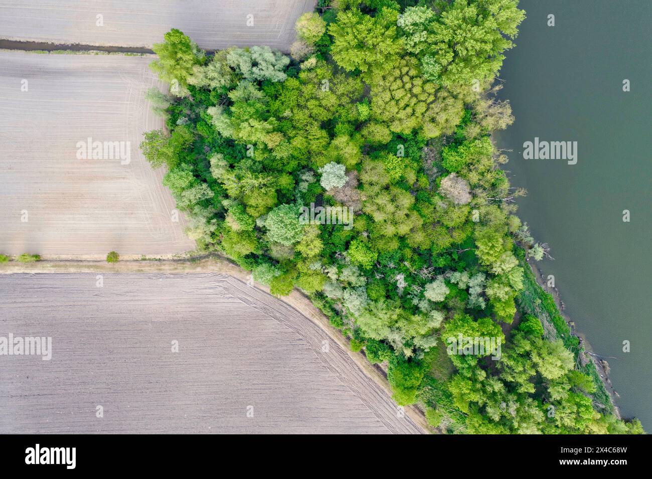 Italia, Mantova. Vista aerea dei campi seminati di recente sulle rive del lago. Foto Stock