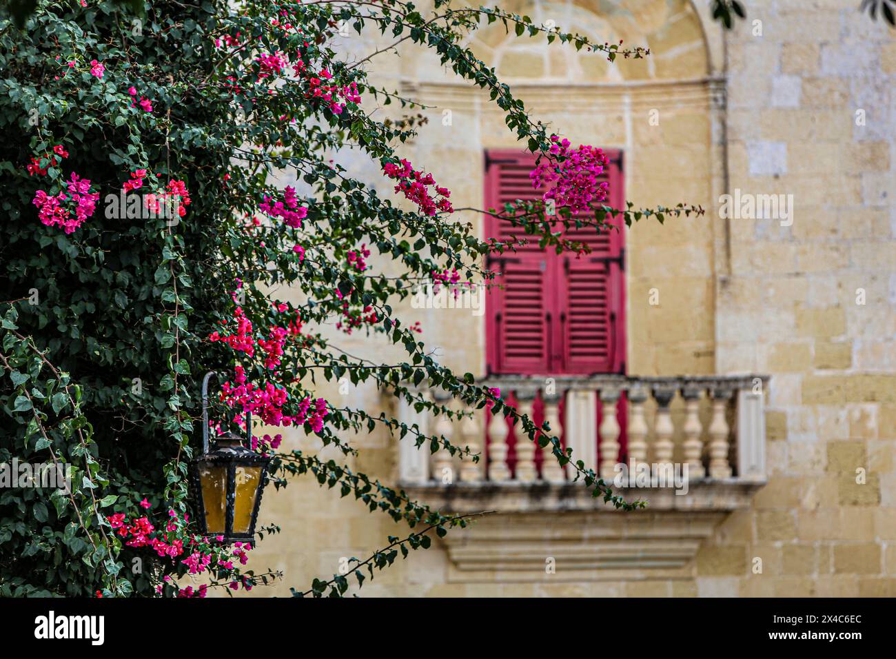Mdina, Malta. Bouganville rosa, lampada e balcone barocco con persiane rosa nella città vecchia Foto Stock
