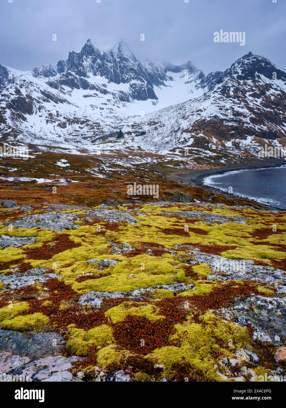 Paesaggio vicino a Mefjordvaer. L'isola di Senja durante l'inverno nel nord della Norvegia. Foto Stock