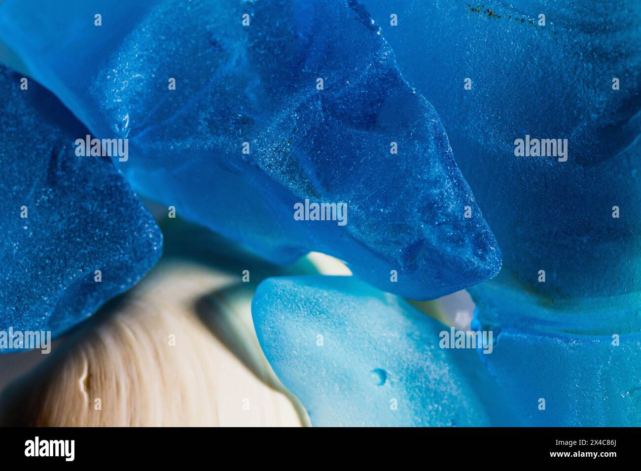 Conchiglie e vetro blu con luce Foto Stock