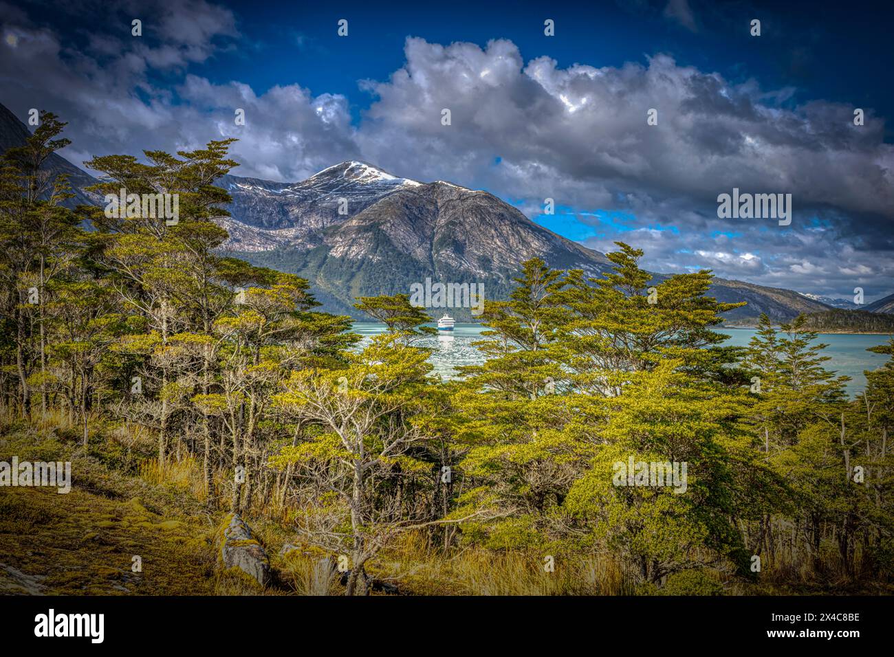 Cile, Parco Nazionale della Terra del fuoco. Paesaggio montano e forestale con fiordo e nave da crociera. Foto Stock