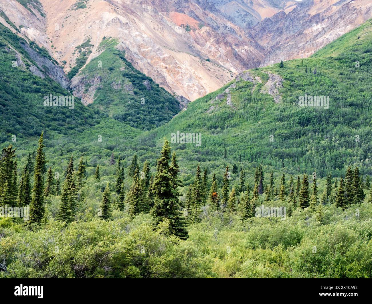 USA, Alaska. Sheep Mountain sulle montagne Talkeetna lungo la Glenn Highway. Foto Stock