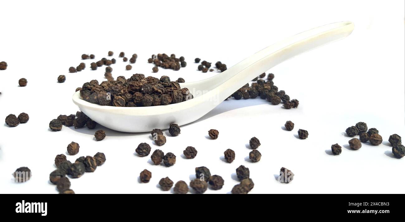 Pepe nero in cucchiaio isolato su sfondo bianco. Cucchiaio e composizione di pepe nero su sfondo bianco. Il pepe nero viene distribuito su uno sfondo bianco. Pepe nero speziato. Foto Stock