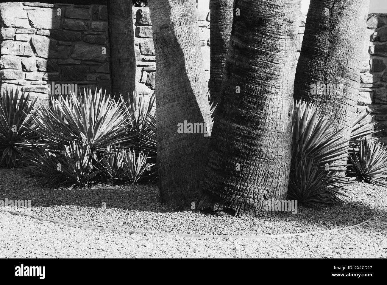 Palm Springs, architettura modernista Foto Stock