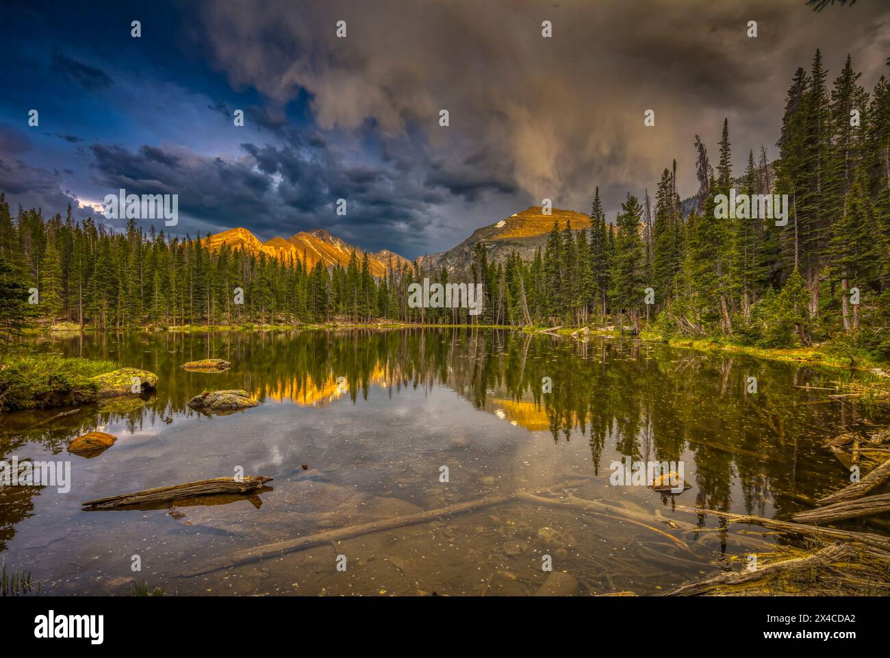 Stati Uniti, Colorado, Parco Nazionale delle Montagne Rocciose. Riflessi montani e forestali nel lago Nymph. Foto Stock