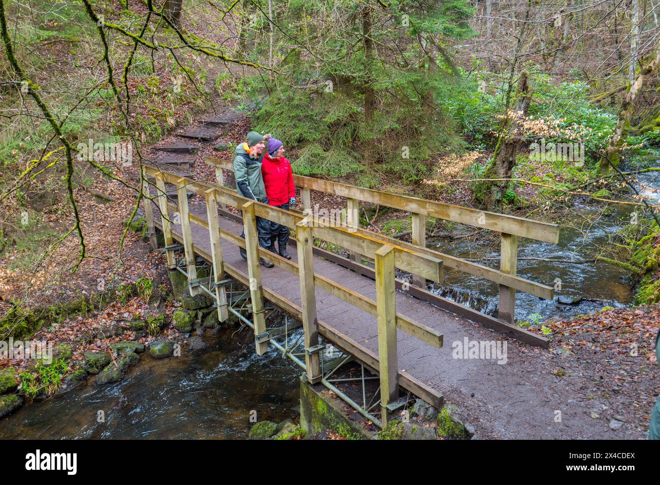 Passerella in legno che attraversa il Rosemarkie Burn e il sentiero conduce i turisti alle Fairy Glen Falls, Fairy Glen, Rosemarkie, Scozia Foto Stock