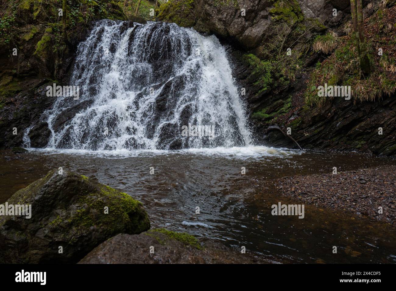 Le Fairy Glen Falls, Fairy Glen, Rosemarkie, Scozia Foto Stock