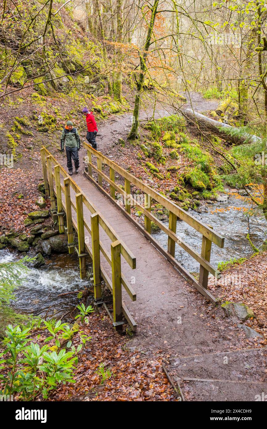 Passerella in legno che attraversa il Rosemarkie Burn e il sentiero conduce i turisti alle Fairy Glen Falls, Fairy Glen, Rosemarkie, Scozia Foto Stock