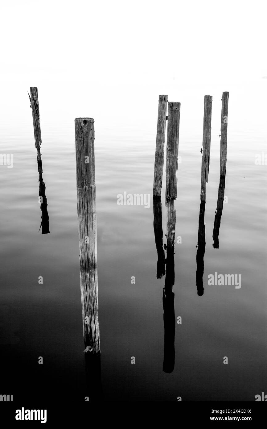 Resti dell'attracco delle barche sul lago d'acqua dolce della Florida Foto Stock