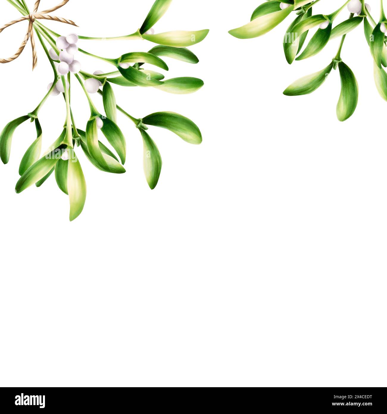 Telaio con vischio natalizio verde e fiocco a spago. Cartolina di acquerello botanico di Capodanno. Illustrazione del simbolo di bacio isolata sullo sfondo. Per de Foto Stock