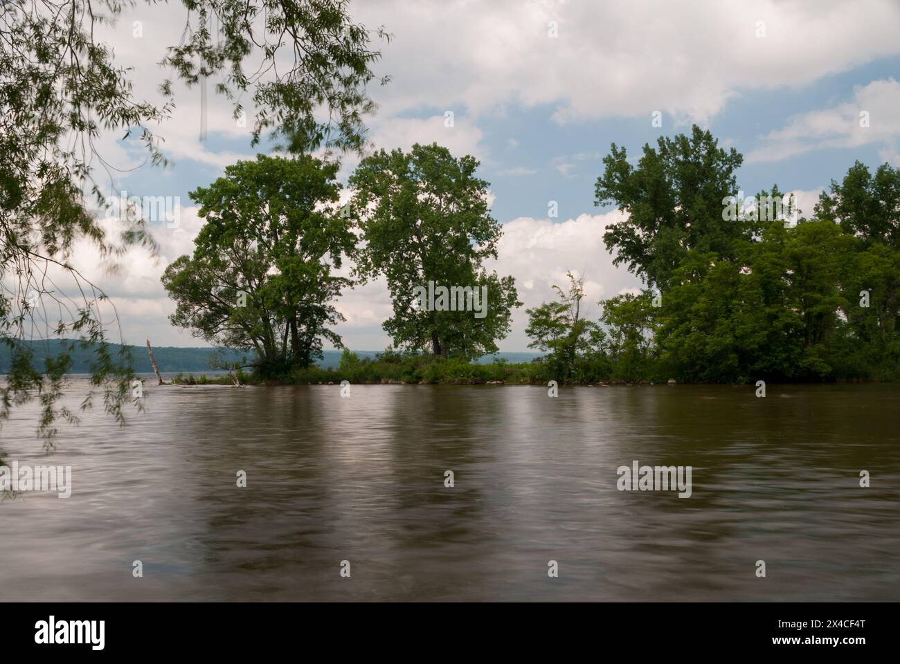 Lunga esposizione di acqua corrente e rami soffianti Foto Stock