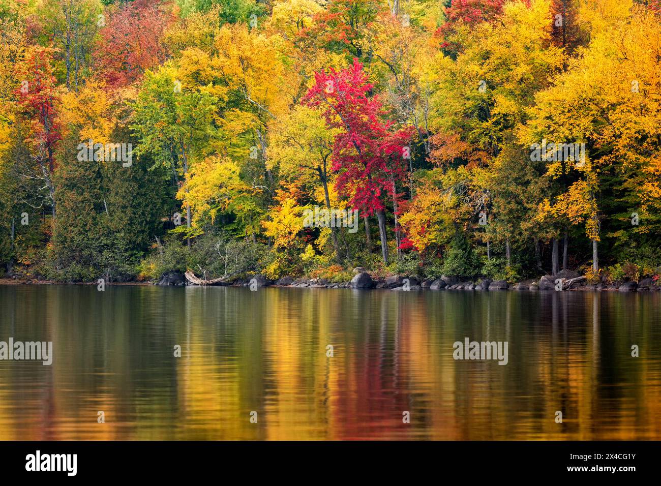 USA, New York, Adirondacks. Newcomb, riflessioni autunnali sul lago Harris Foto Stock