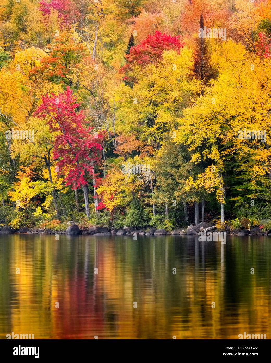 USA, New York, Adirondacks. Newcomb, riflessioni autunnali sul lago Harris Foto Stock