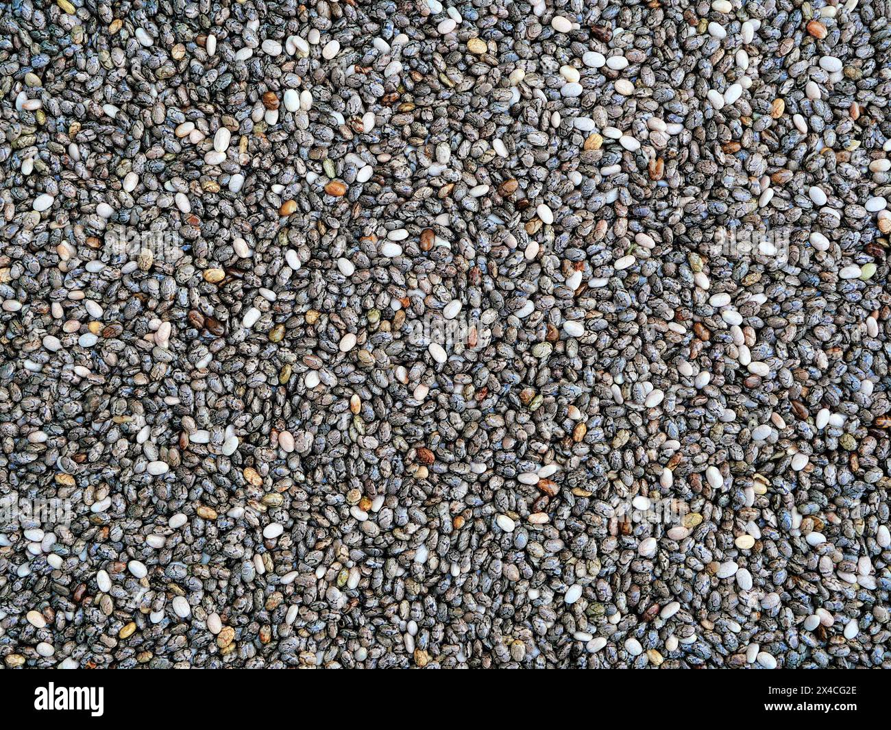 Semi di chia - Omega-3 potente con antiossidanti! Aumentare l'energia, la pienezza, la salute. Ottimo per frullati, cereali, insalate Foto Stock