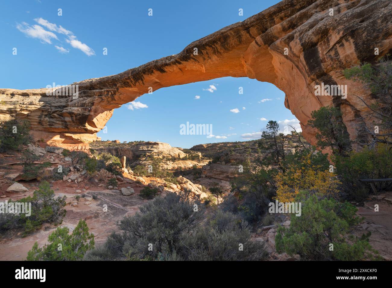 Owachomo Bridge, Natural Bridges National Monument, Utah. Foto Stock