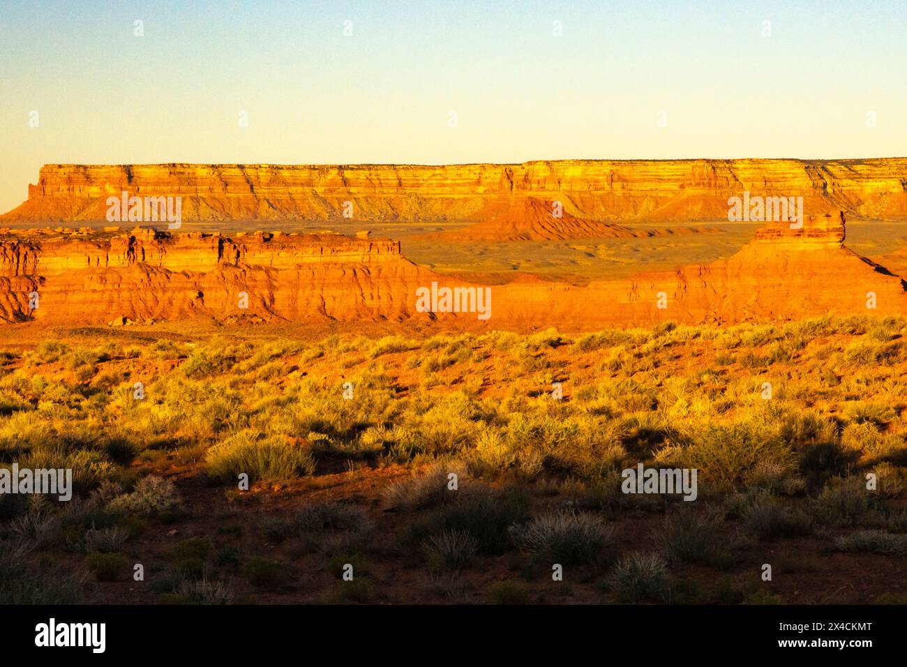 USA, Utah, Bear's Ears National Monument. Paesaggio di Comb Ridge. Foto Stock
