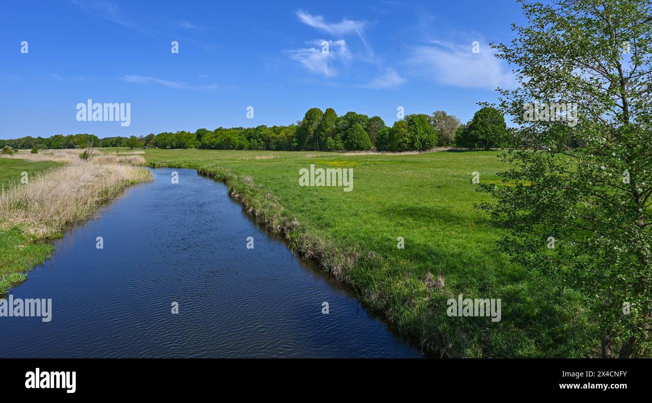 Krewelin, Germania. 2 maggio 2024. Il fiume Havel nella riserva naturale di Schnelle Havel. Il Voss Canal si trova nelle immediate vicinanze dell'Havel. La riserva naturale di circa 2463 ettari, attraverso la quale scorre il fiume Havel, si estende tra le città di Zehdenick a nord e Oranienburg a sud dello stato del Brandeburgo. Con 334 chilometri di lunghezza, l'Havel è il più lungo affluente dell'Elba sulla riva destra. Crediti: Patrick Pleul/dpa/Alamy Live News Foto Stock