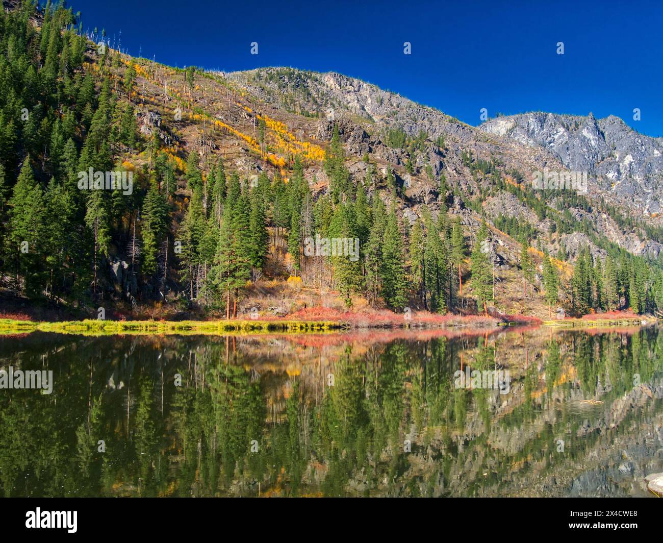 Stati Uniti, Stato di Washington, Contea di Chelan. Colori autunnali lungo il fiume Wenatchee. Foto Stock