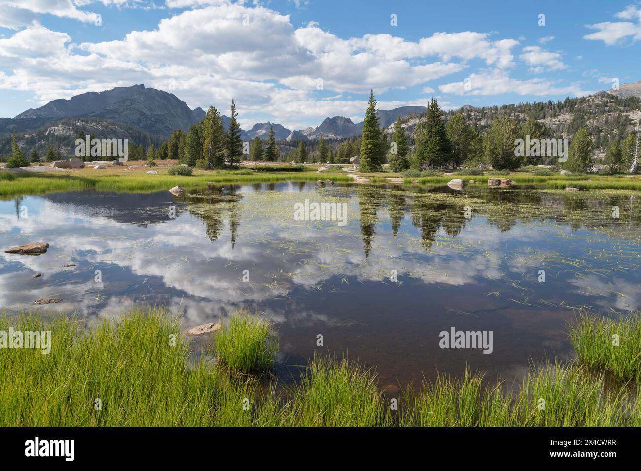 Stagno subalpino Bridger Wilderness, Wind River Range, Wyoming. Foto Stock