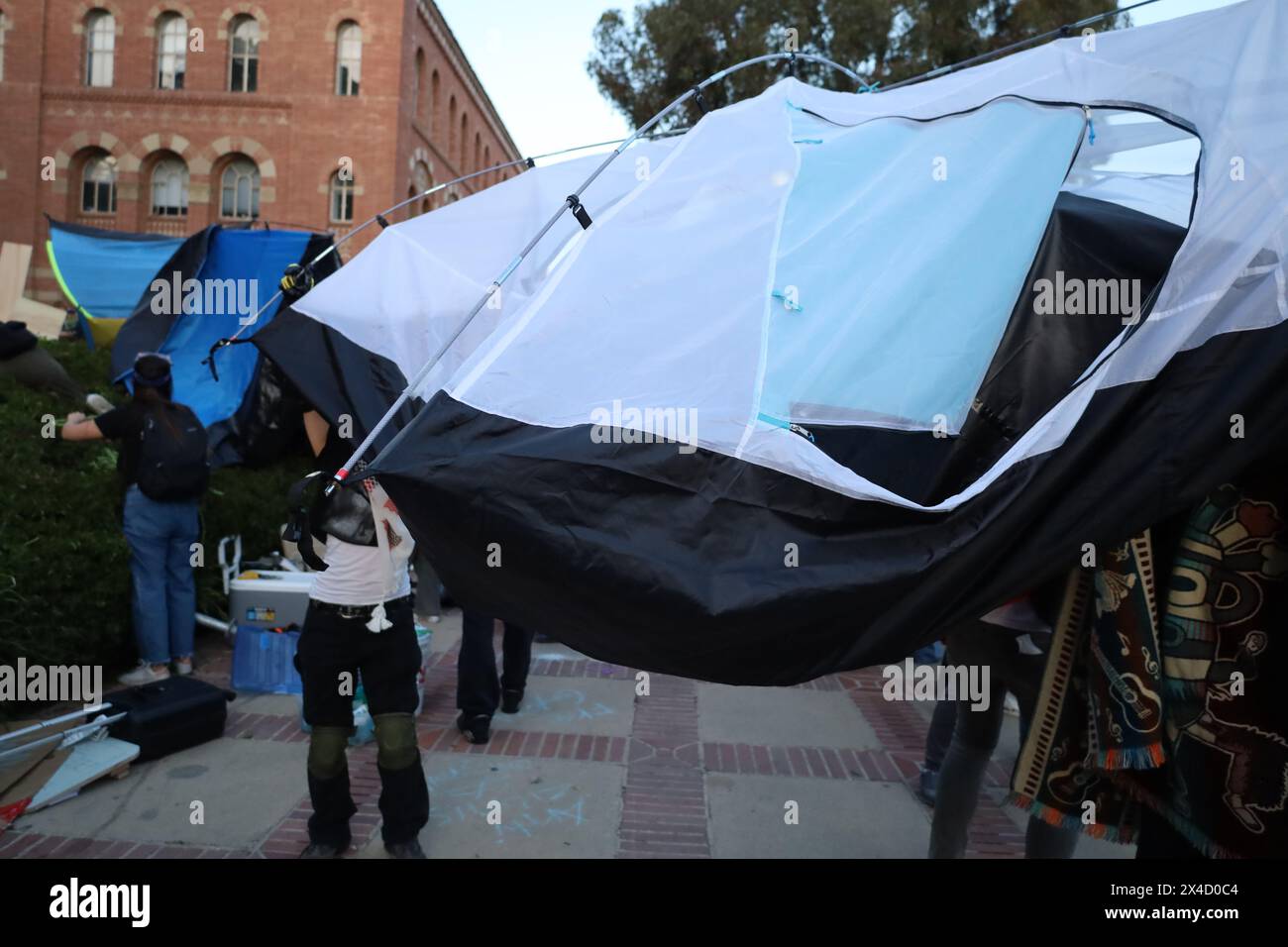 Los Angeles, California, U.S.A. 1 maggio 2024. Università della California, Los Angeles (UCLA) il 1 maggio 2024: Manifestanti pro-Palestine/Hamas nel loro accampamento di tende, ore prima del raid della polizia. (Immagine di credito: © Amy Katz/ZUMA Press Wire) SOLO PER USO EDITORIALE! Non per USO commerciale! Foto Stock