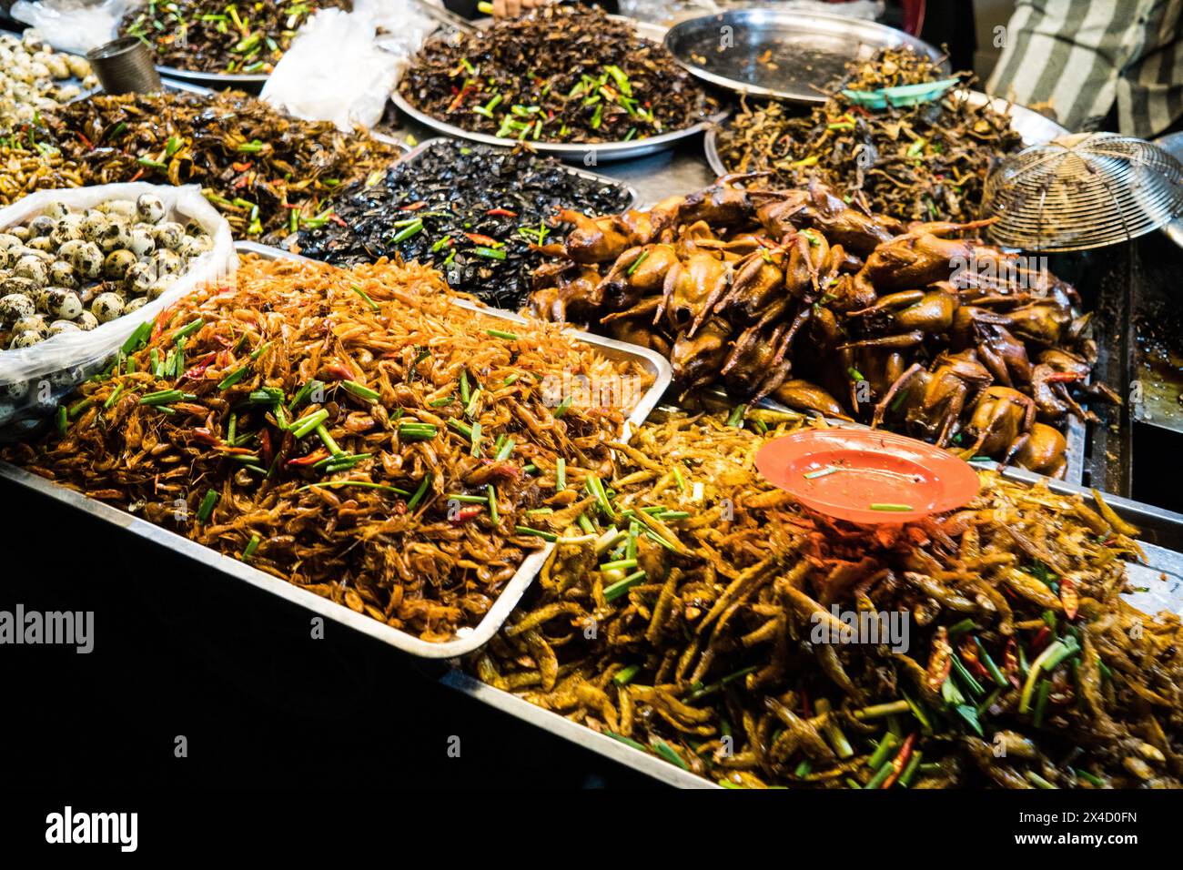 Cucina di strada in Phnom Penh Cambogia Foto Stock