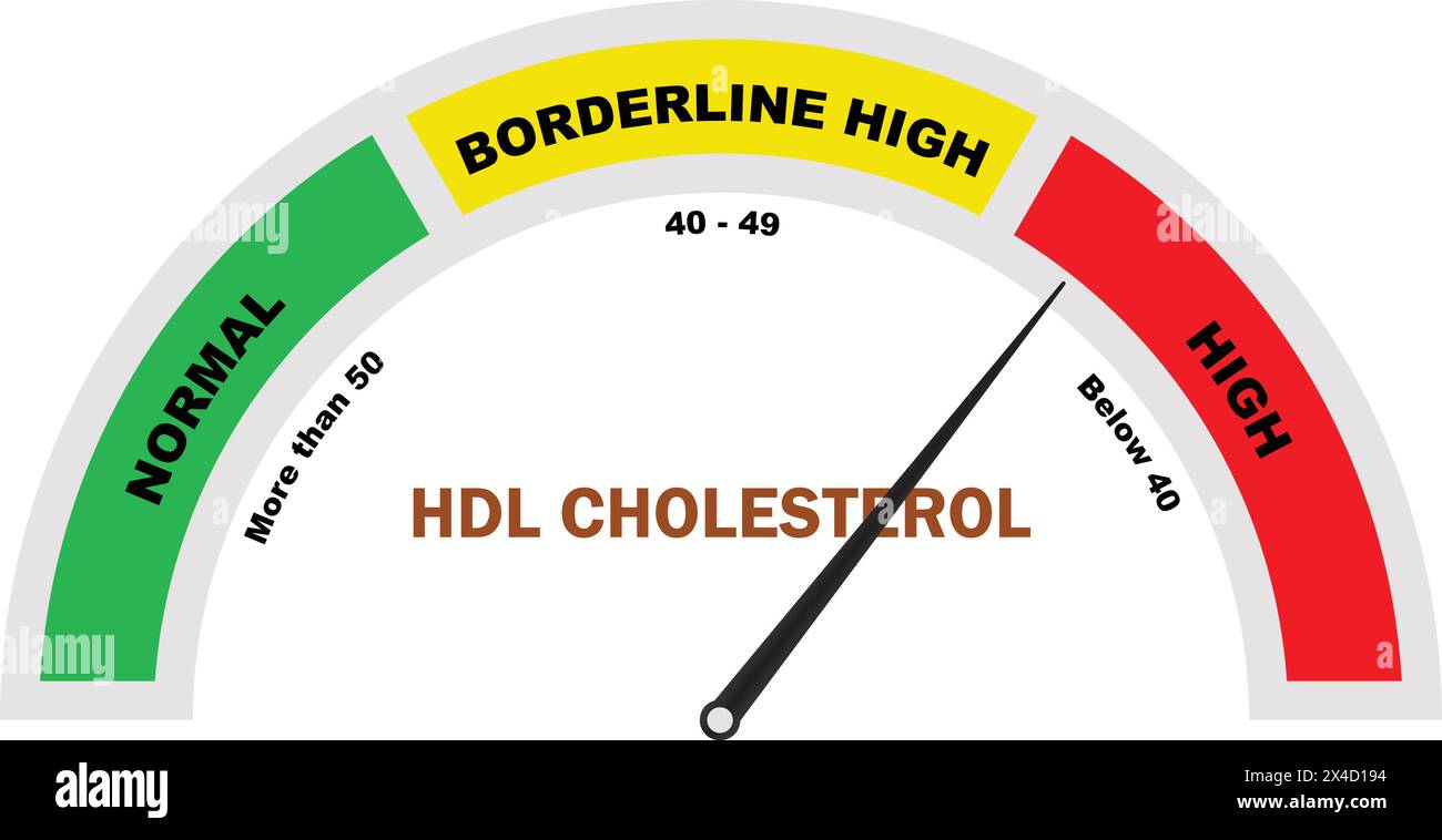 Colesterolo HDL alto livello, test colesterolo alto, test colesterolo HDL, icona misuratore colesterolo, strumento diagnostico medico Illustrazione Vettoriale