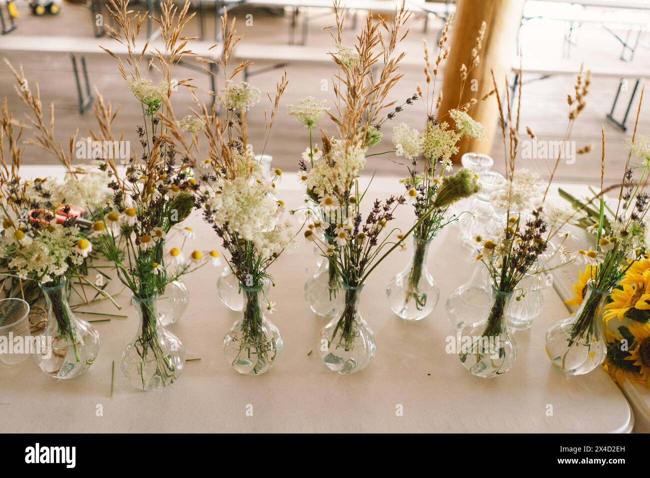 Eleganti centenari Wildflower che adornano un tavolo festivo durante un evento al coperto di un lungo tavolo Foto Stock