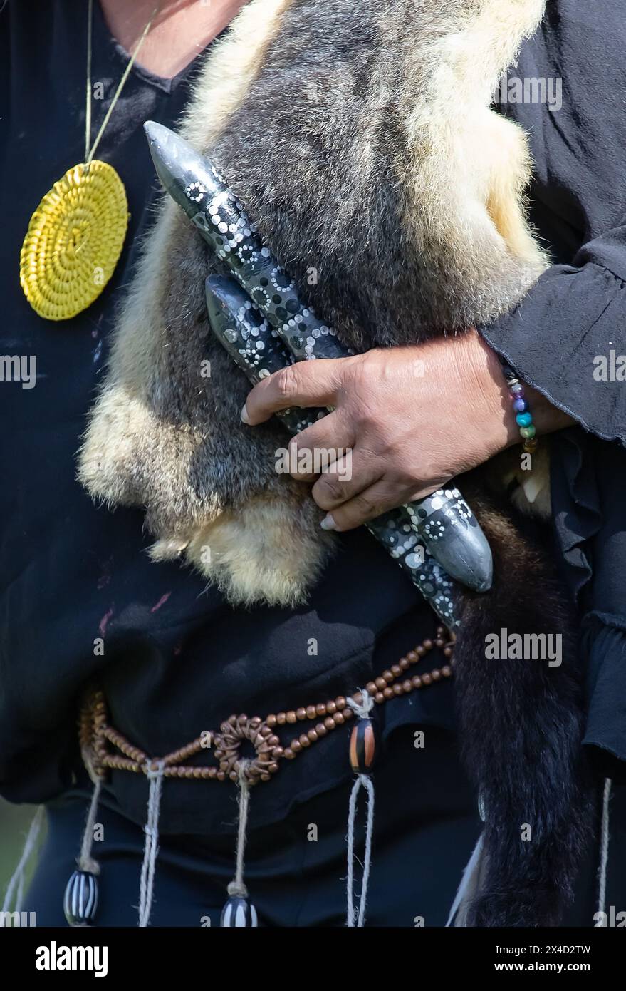 La mano umana tiene i bastoncini rituali per il rituale di benvenuto in un evento della comunità indigena in Australia Foto Stock