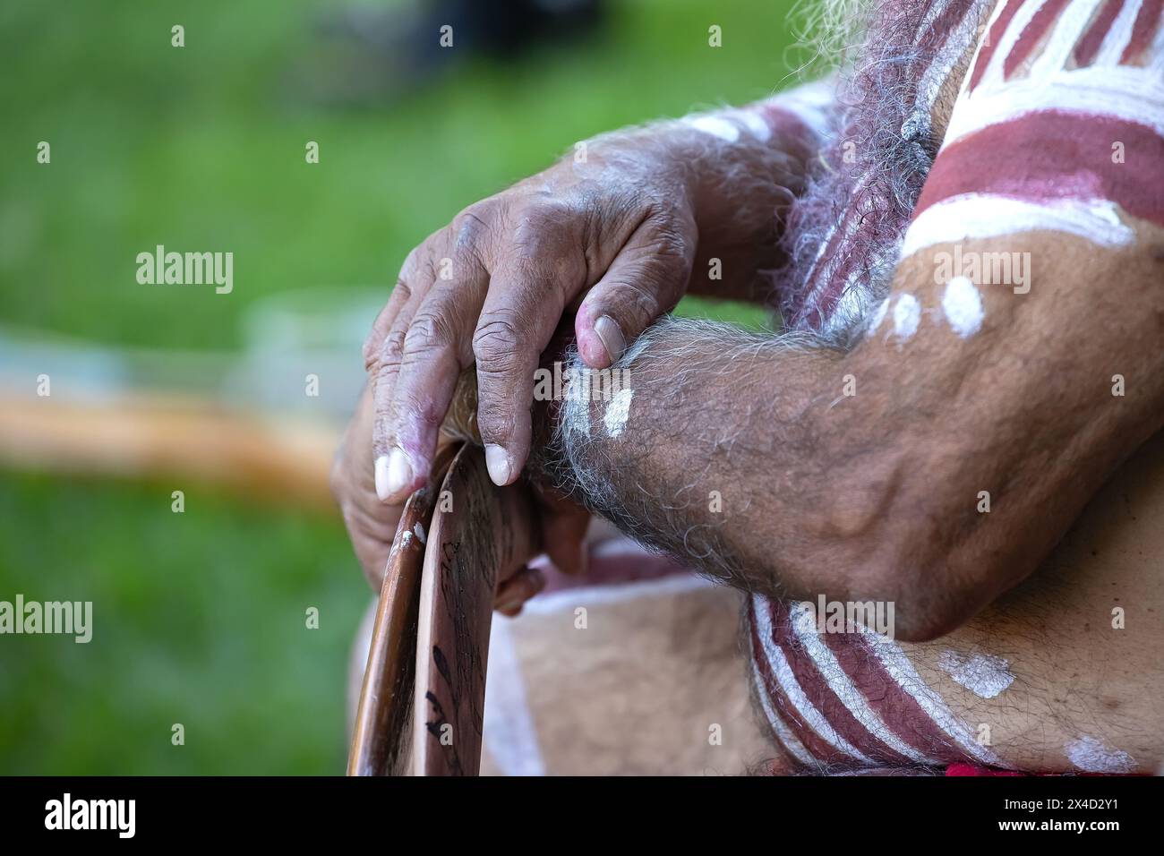 La mano umana tiene i bastoncini rituali per il rituale di benvenuto in un evento della comunità indigena in Australia Foto Stock