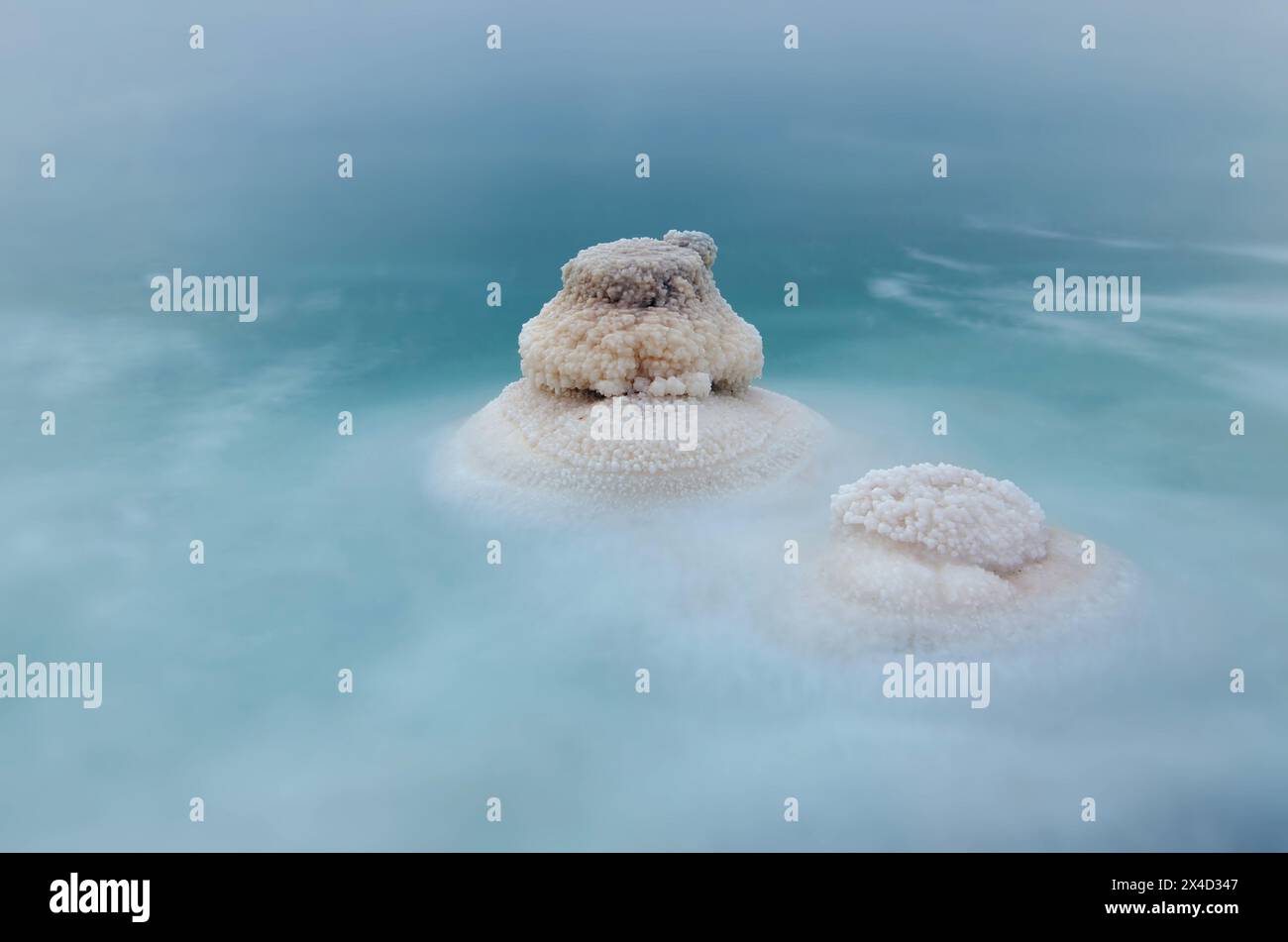 Un fungo salino isolato nel mare morto Foto Stock