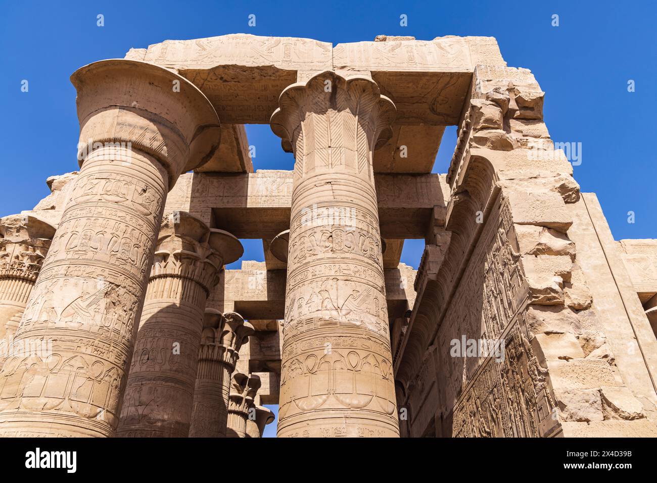 Kom Ombo, Assuan, Egitto. Colonne scolpite al tempio Kom Ombo. Foto Stock