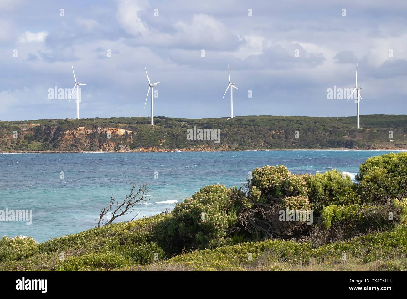 Diverse turbine eoliche in un campo sullo sfondo di un paesaggio naturale con una fattoria agricola, mucche su un campo e mare blu Foto Stock