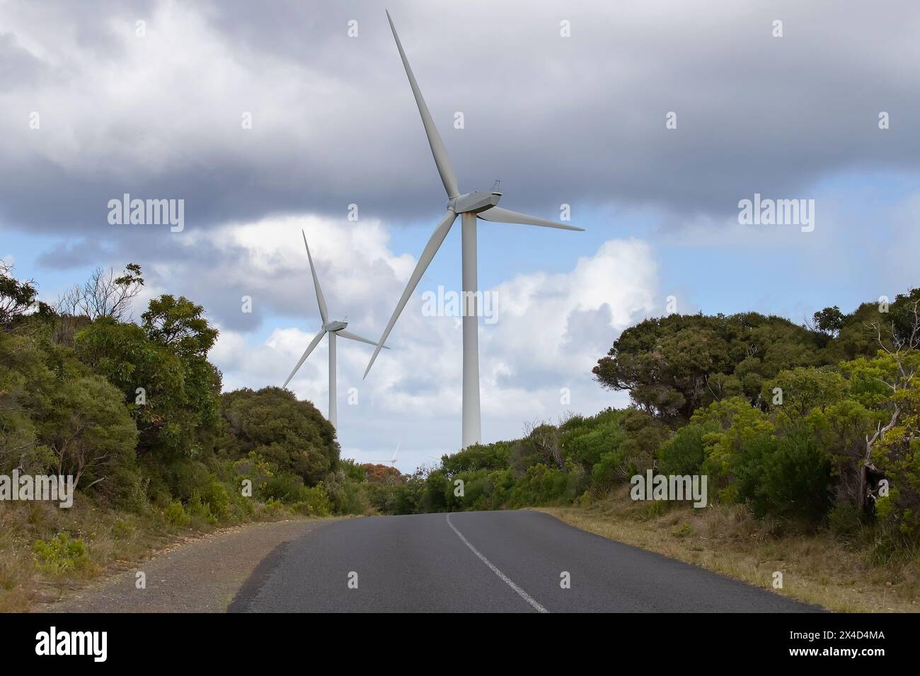 Diverse turbine eoliche in un campo sullo sfondo di un paesaggio naturale con una fattoria agricola, mucche su un campo e mare blu Foto Stock