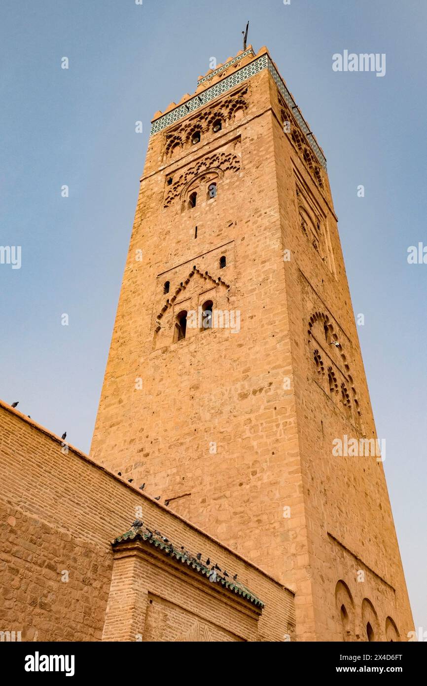 Marrakech, Marocco. Moschea di Koutoubia. La più antica moschea di Marrakech degli anni '1100 Foto Stock