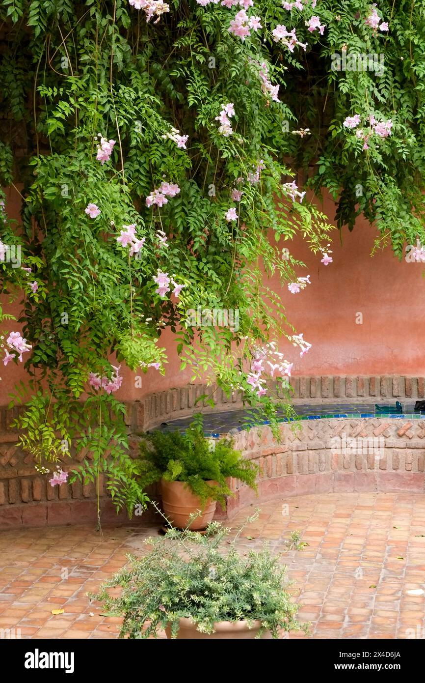 Marrakech, Marocco. Posti a sedere a Banco tra piante in fiore. Foto Stock