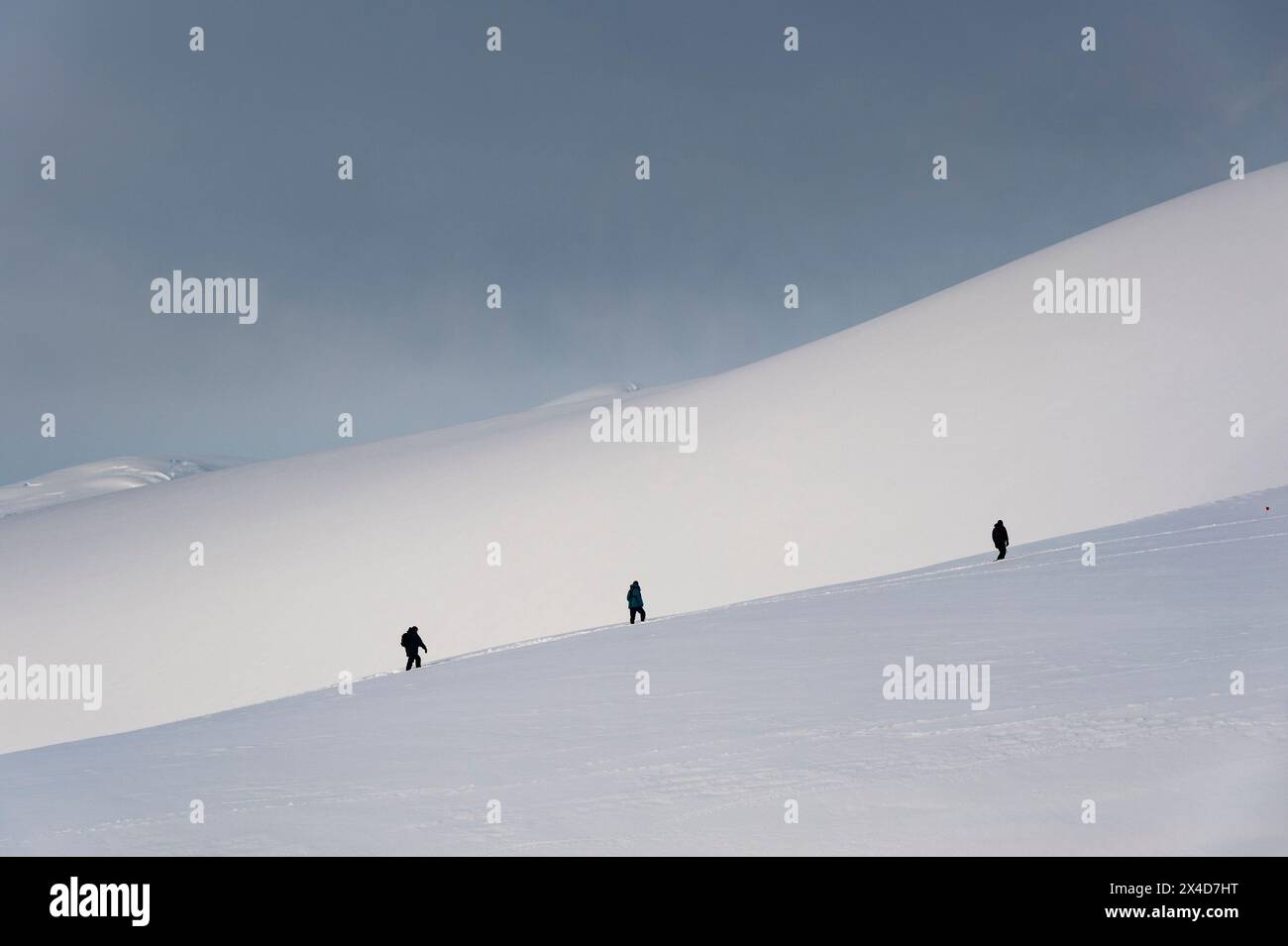 I turisti passeggiate sulla neve in Paradise Bay, l'Antartide. Foto Stock