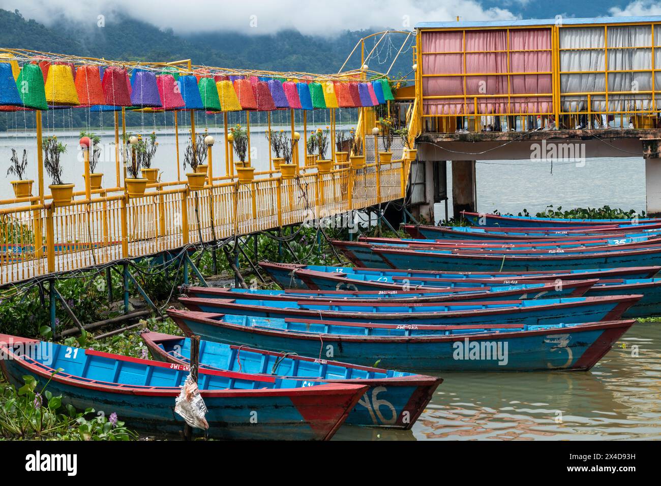 Nepal, Pokhara. Molo colorato e barche sul lago Phewa Foto Stock