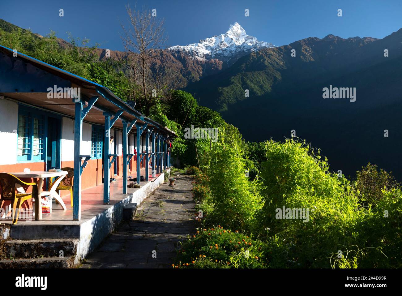 Asia, Nepal. Sala da tè sul Mardi Himal Trek e sul Monte Machapuchare Foto Stock