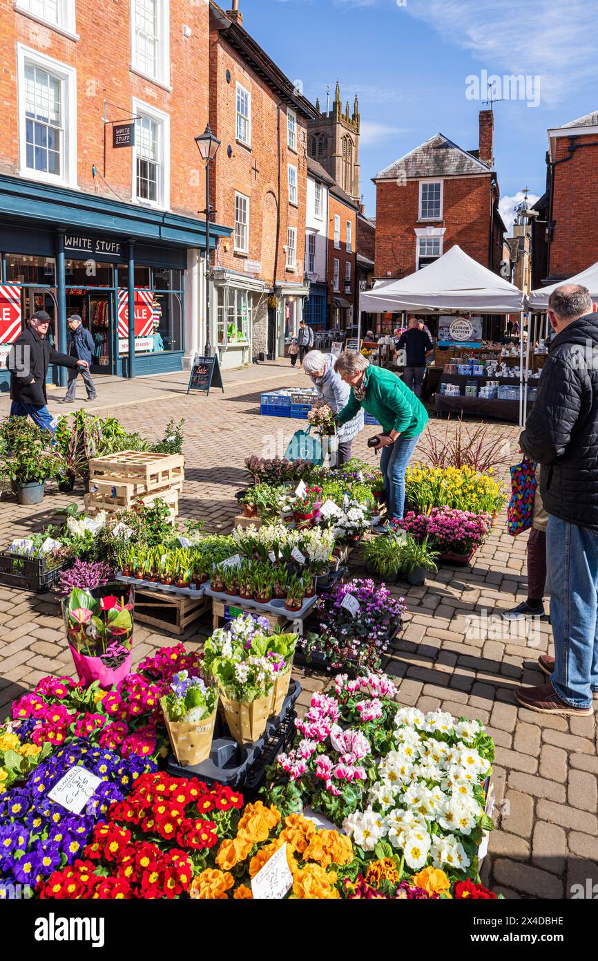 Fiori in vendita al tradizionale mercato all'aperto nella piazza nel centro della città medievale di Ludlow, Shropshire, Inghilterra, Regno Unito Foto Stock