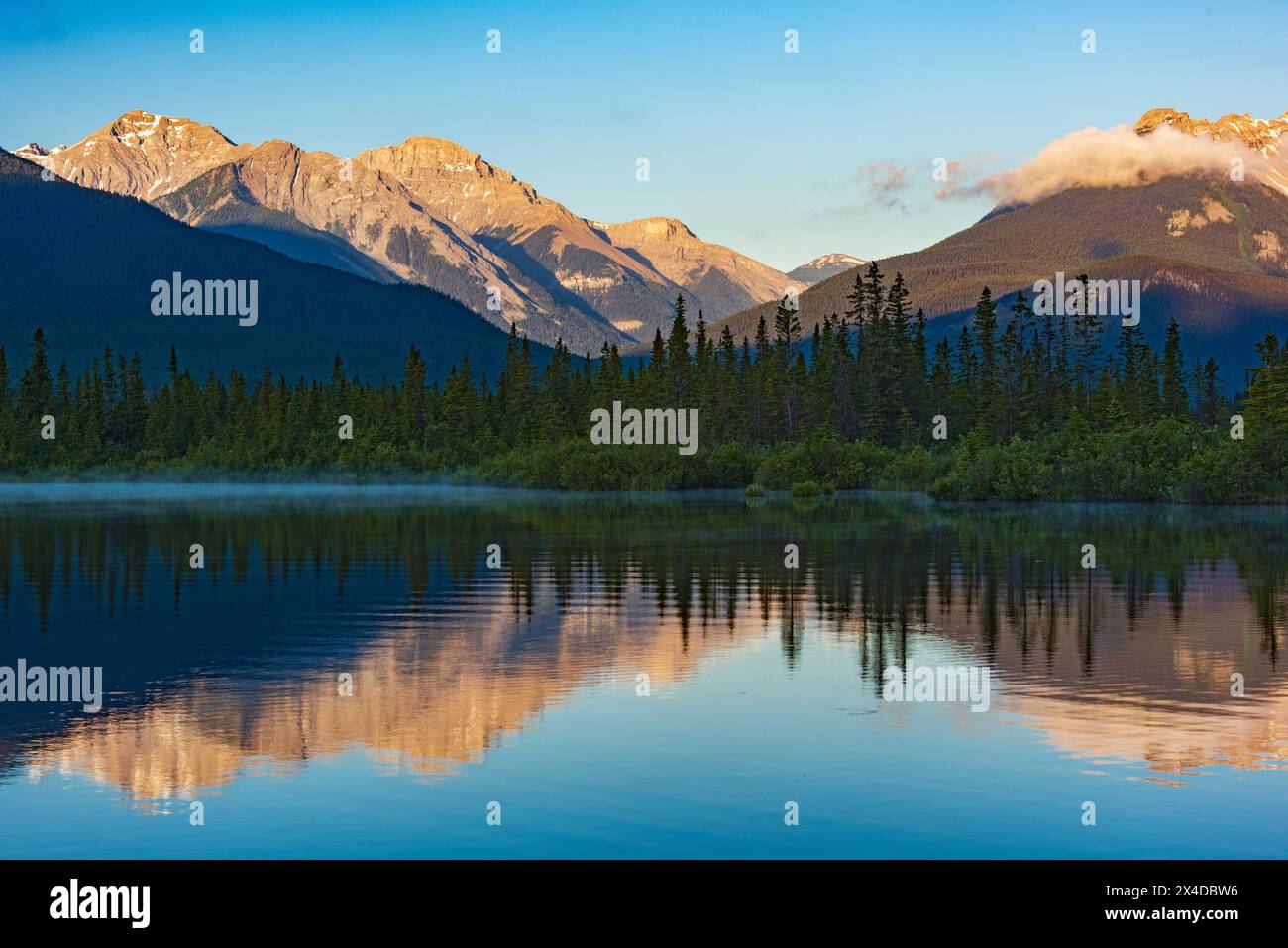 Canada, Alberta, Banff National Park. Riflessi montani e forestali nei laghi Vermilion all'alba. Foto Stock