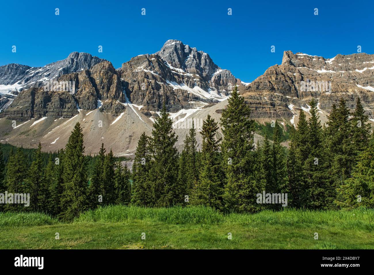 Canada, Alberta. Montagne Rocciose canadesi e paesaggio forestale. Foto Stock