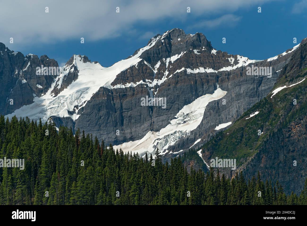 Canada, Alberta, Banff National Park. Paesaggio montano e forestale. Foto Stock