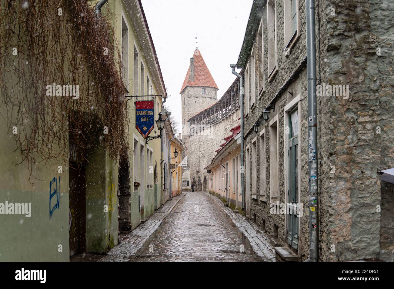 Strada nella città vecchia, Tallinn, Estonia Foto Stock