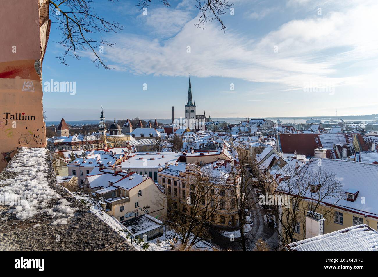 Vista sulla città vecchia, Tallinn, Estonia Foto Stock
