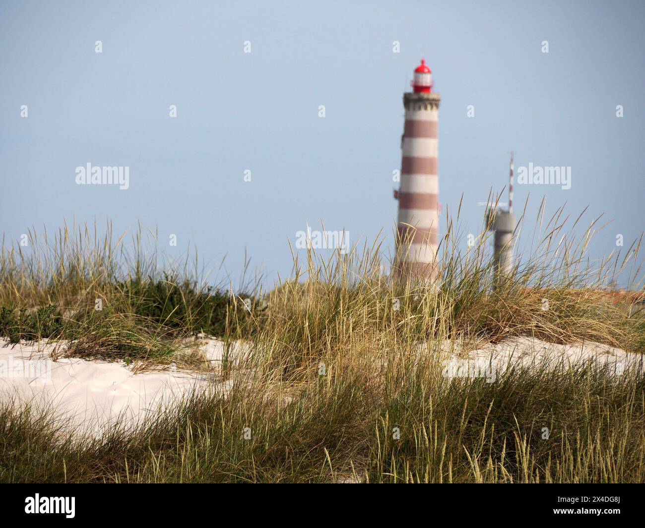 aveiro portogallo dune di sabbia con vista sulla spiaggia dell'Oceano Atlantico Foto Stock