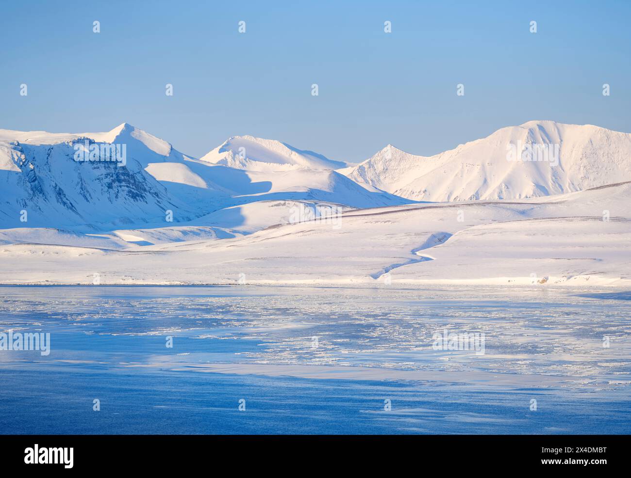 Paesaggio a Gronfjorden ghiacciato, isola di Spitsbergen. Regione artica, Scandinavia, Norvegia, Svalbard Foto Stock