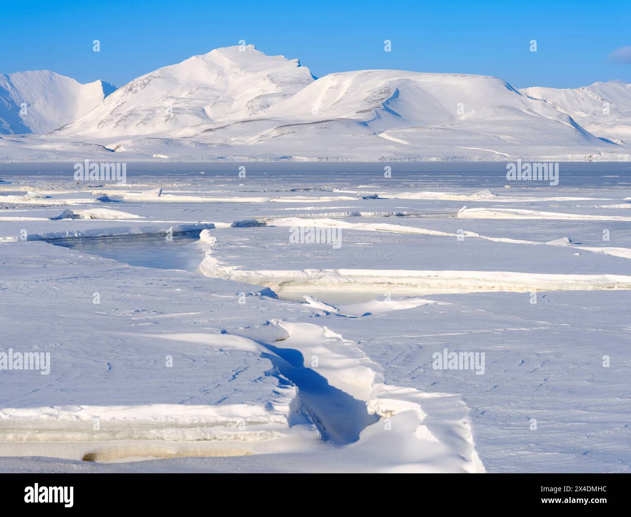 Paesaggio a Gronfjorden ghiacciato, isola di Spitsbergen. Regione artica, Scandinavia, Norvegia, Svalbard Foto Stock