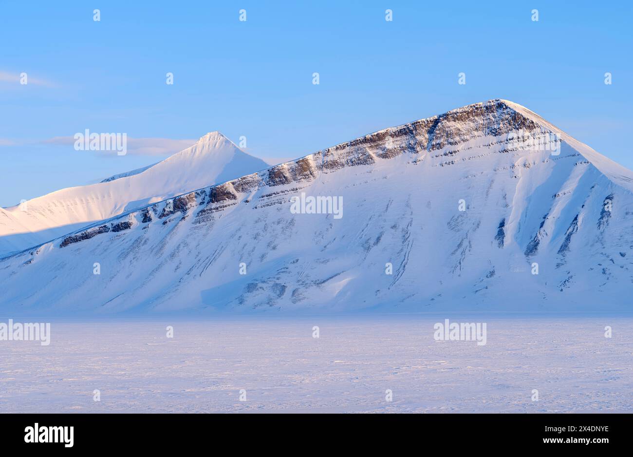 Paesaggio a Grondalen, isola di Spitsbergen. Regione artica, Scandinavia, Norvegia, Svalbard Foto Stock