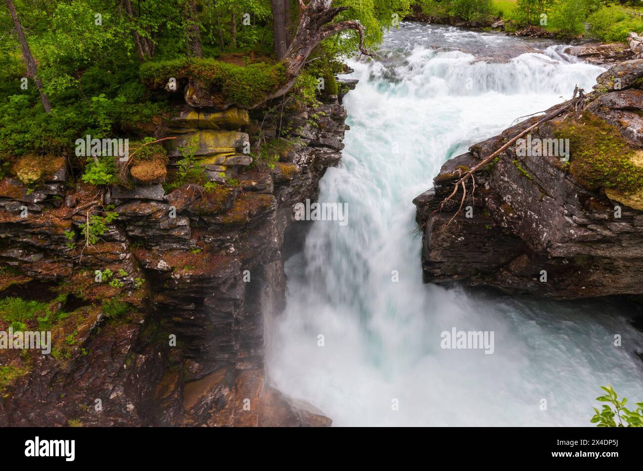 Una cascata si innalza oltre gli affioramenti rocciosi vicino a Trollstigen Road, Rauma, Norvegia. Foto Stock