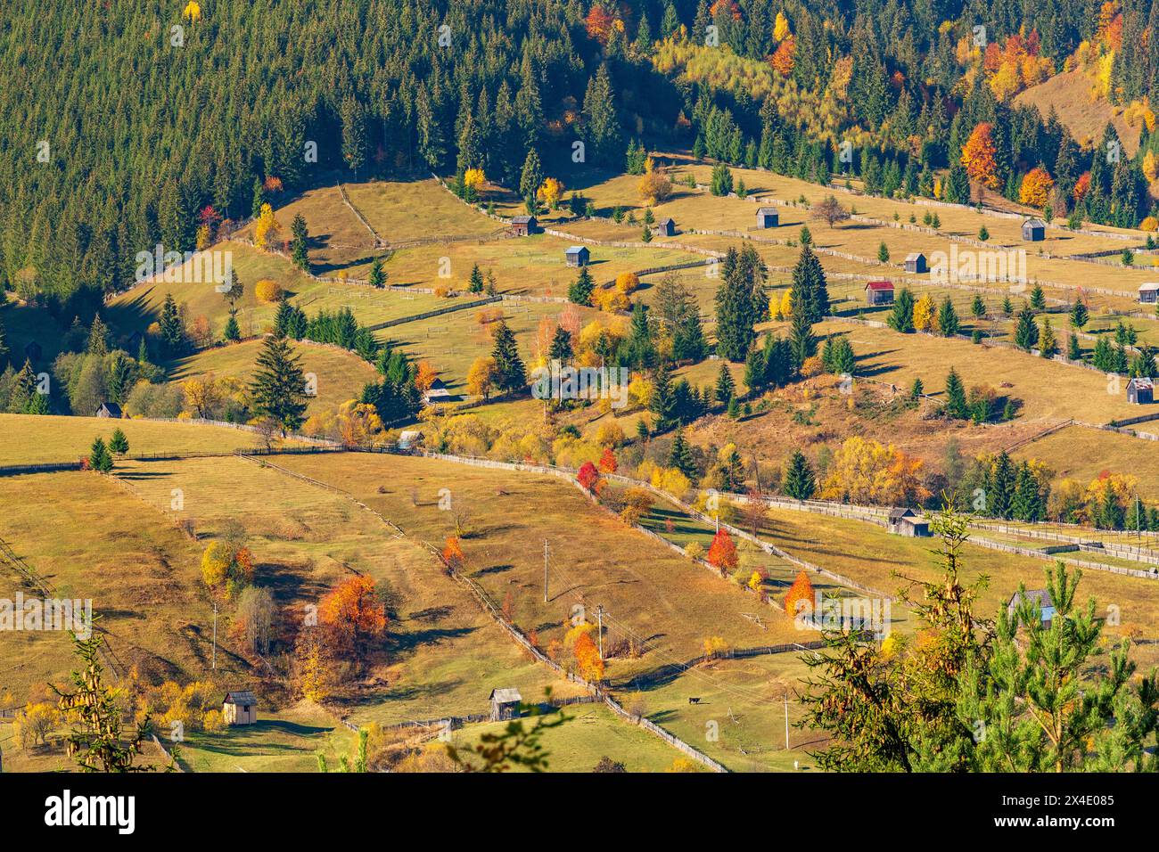 Romania, Prahova County, Bucegi Mountains, Busteni. Viste rurali di strutture ed edifici in legno. Foto Stock